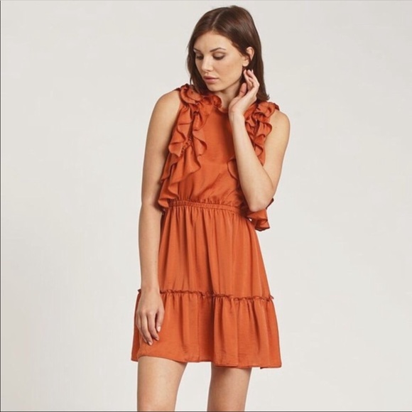 Anthropologie Dresses & Skirts - DRA ANTHRO | Rust Orange Ruffle Palermo Dress MED